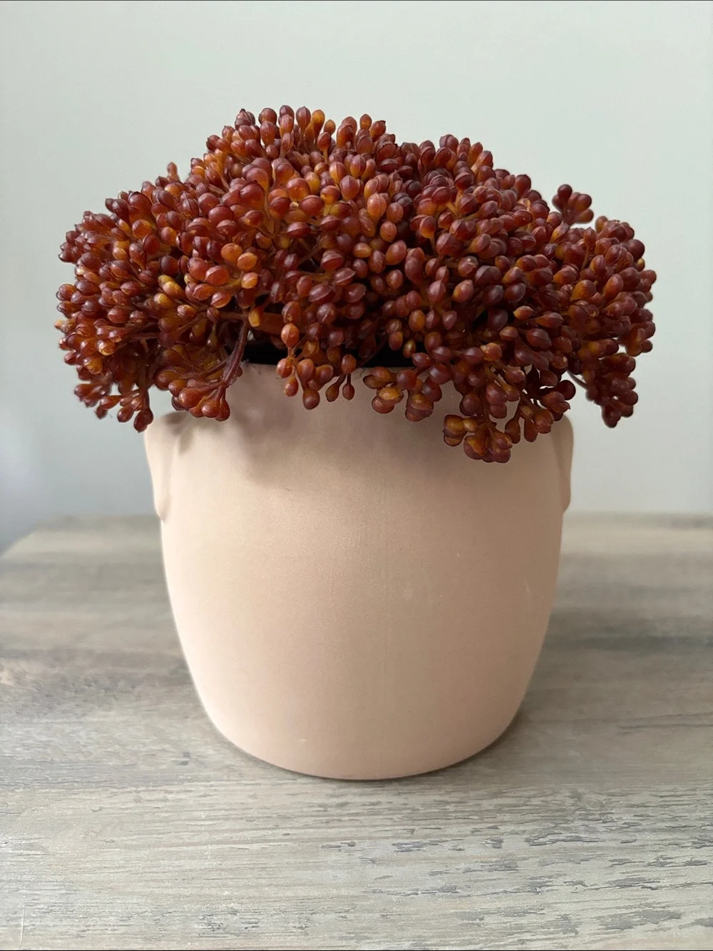 Threshold Red Sedum Arrangement - Set of 2